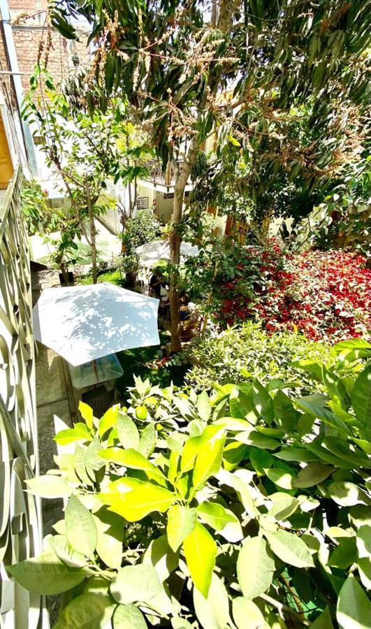 Отель Garden House Ика Экстерьер фото